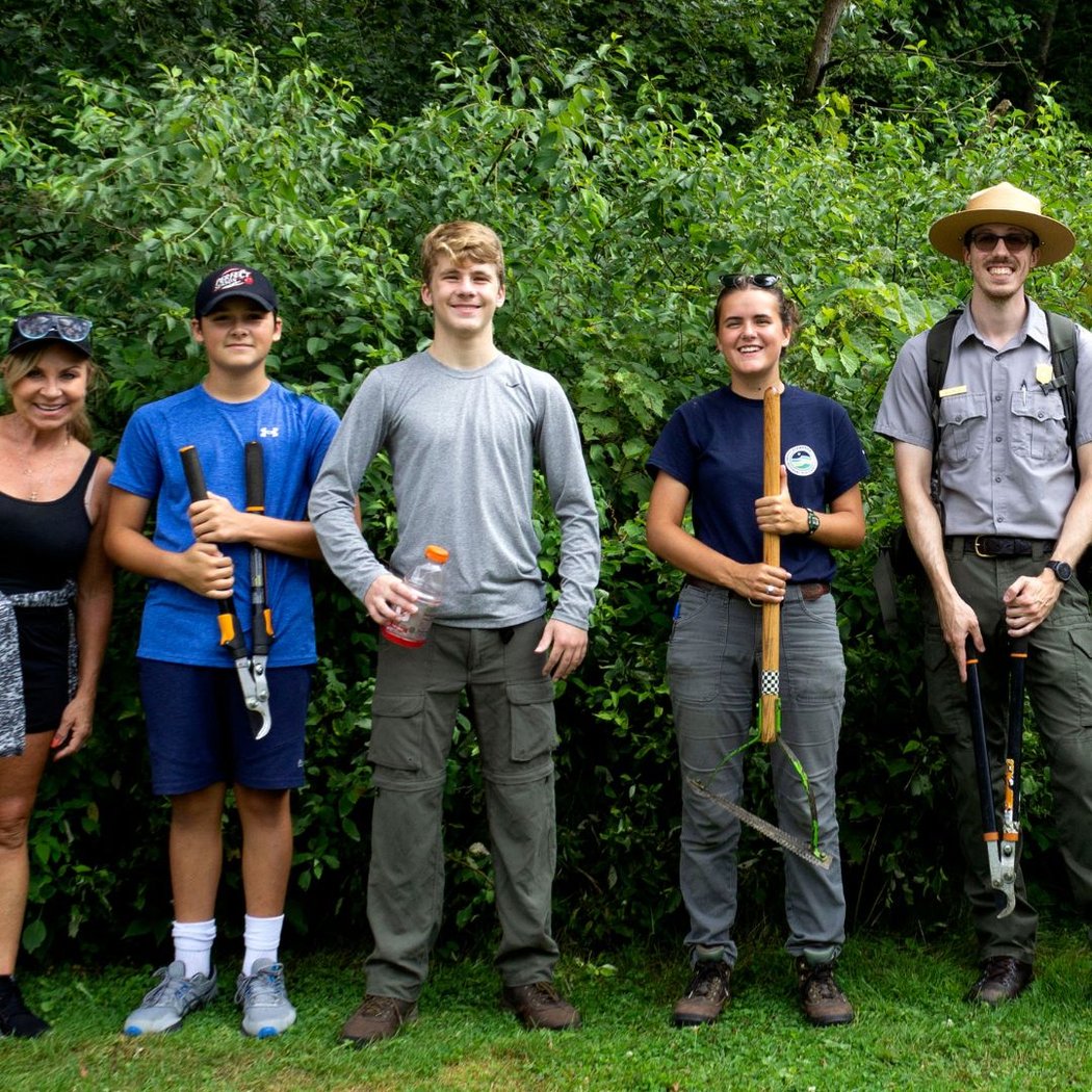 Invasive Plant Removal Drop In 1